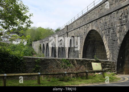 Maggio 2019. Il viadotto di Tavistock, che è stato parte della Tavistock Nord Railway, azionato da Londra e South Western Railway in Tavistock, Regno Unito Foto Stock