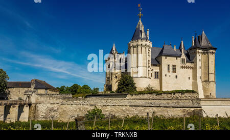 Château de Saumur, Pays de la Loire, Maine et Loire, Francia Foto Stock