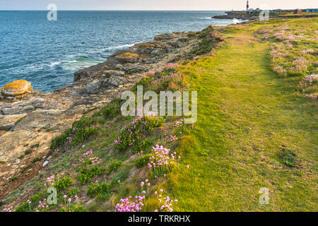 Drammatico paesaggio costiero a Portland Bill sulla isola di Portland, Jurassic Coast, Dorset, Inghilterra, Regno Unito. Foto Stock