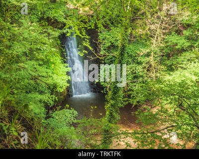 Cascata di Foss vicino a Whitby nel Nord Yorkshire attraverso il alberi Foto Stock