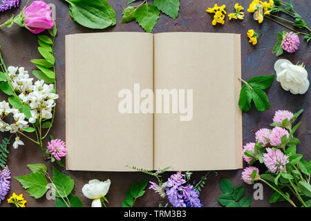 Erbe e piante medicinali, fustellato aperto il libro cartaceo. Vista dall'alto. Foto Stock