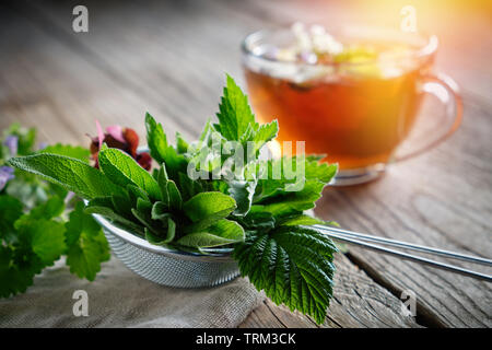 Le piante officinali e aromatiche nel tè infusore, salutare tisana cup in background. Foto Stock