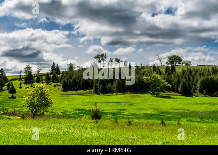 Paesaggio di campagna vista di campo verde e alberi con bellissimo cielo drammatico in primavera Foto Stock