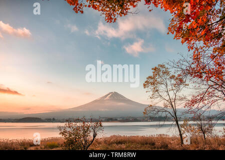 Il monte Fuji con foglie di acero coperto in autunno sul lago Kawaguchiko, Giappone Foto Stock