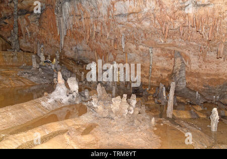 Grotta del Fico - grotte di pietra calcarea complessa, Golfo di Orosei, il Parco Nazionale del Gennargentu, Baunei, Sardegna, Italia, 20 maggio 2019 Foto Stock