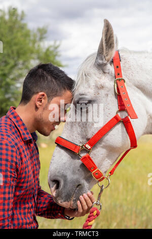 Vista laterale del giovane maschio in camicia a scacchi toccando delicatamente la testa del cavallo bianco con red briglia permanente, mentre in campagna su campo giorno nuvoloso Foto Stock