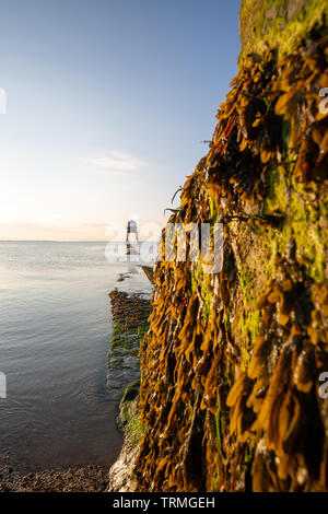 Dovercourt Lighthouse, lunga immagine di esposizione Foto Stock