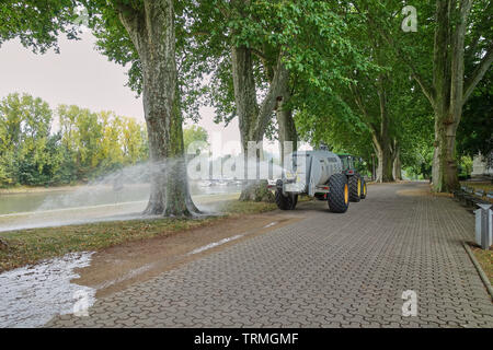 Misure estreme in Germania per combattere le condizioni di siccità messa molto vecchi alberi a rischio - Città carrelli di acqua di inondazione del lungomare di Coblenza, Germania Foto Stock