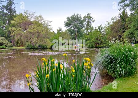 Il Longstock giardini d'acqua, Leckford station wagon, Stockbridge Hampshire England Regno Unito Foto Stock