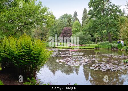 Il Longstock giardini d'acqua, Leckford station wagon, Stockbridge Hampshire England Regno Unito Foto Stock