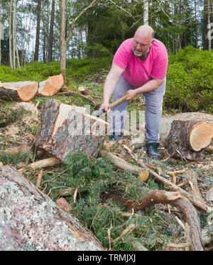 Adulto uomo caucasico lavorando fino a sudare all'aperto nella foresta tritare grandi log in metà per legna da ardere Foto Stock