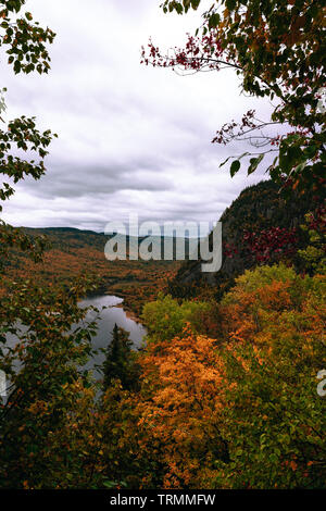 Vista del fiordo Sagenay nella foresta. Quebec, Canada Foto Stock