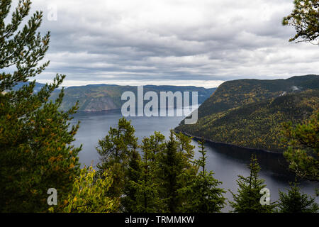 Vista del fiordo Sagenay nella foresta. Quebec, Canada Foto Stock