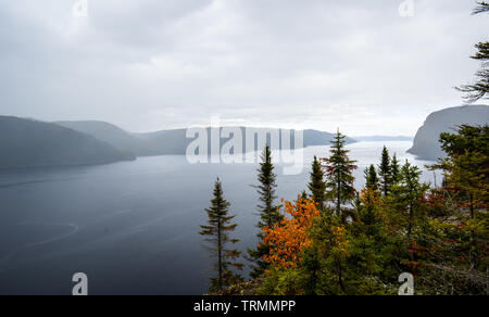 Vista del fiordo Sagenay nella foresta. Quebec, Canada. Quebec, Canada Foto Stock