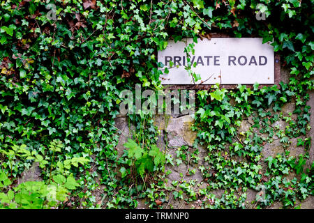 Strada privata segno sulla parete coperta di edera Foto Stock