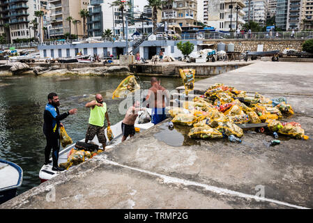 Calypso Dive Club membri visto qui cancellazione cestino dal mare lungo di Beirut Corniche. Popolo libanese è venuto fuori en masse domenica, per aiutare fuori con un nazionale di beach Cleanup giorno guidato dal ministro libanese per l'ambiente. Non solo essi raccolgono i rifiuti dalla loro spiagge a oltre 150 locazioni, squadre di subacquei trascorso anche loro domenica subacquea, la cancellazione di tutti i rifiuti dal fondo dell'oceano. Beirut, Libano, 9//6/2019 Foto Stock