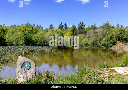 Stagno su Plump Hill. Foto Stock