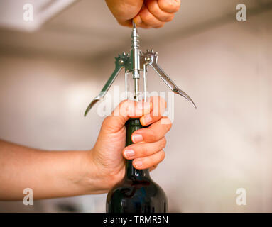 Donna di aprire una bottiglia di vino con un cavatappi. Close-up Foto stock  - Alamy