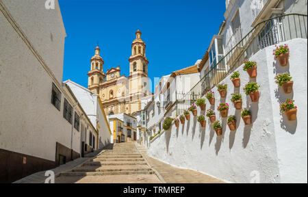 Vista panoramica in Olvera, provincia di Cadice, Andalusia, Spagna. Foto Stock