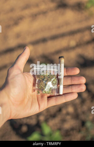 Fumare marijuana in un luogo naturale. La mano di un uomo che mostra una grande marijuana giunto e di un sacchetto di plastica con alghe durante una giornata di sole sulla strada. Foto Stock