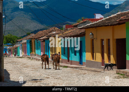 Cavalli rendendo il loro proprio modo home su strada costeggiata con case colorate con montagne Escambray in background - Trinidad, Cuba,dei Caraibi Foto Stock