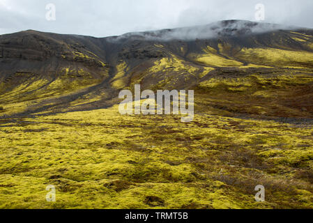 Eldhraun campo di lava, il flusso e la cresta ricoperta di muschio verde in Islanda Foto Stock