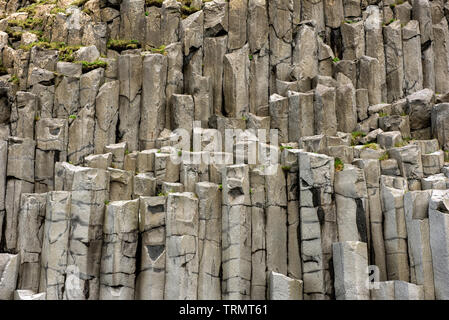 In basalto nero colonna nella formazione di Vik, Islanda Foto Stock