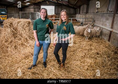 Gli agricoltori sulle Isole Shetland foto Copyright Chris Watt Tel - 07887 554 193 info@chriswatt.com www.chriswatt.com Foto Stock