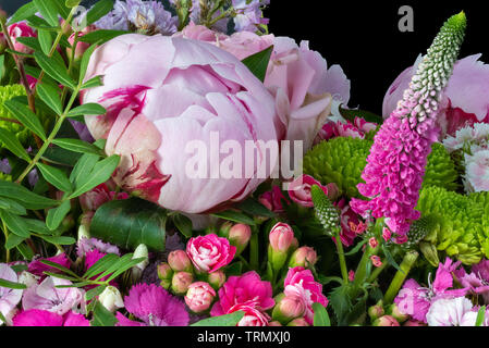 Bianco Rosso peonia,vibranti molla colorati mazzo di fiori, crisantemi, kalanchoes,dianthus,lupinus,mare-lavanda,sfondo nero Foto Stock