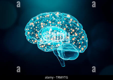 Cervello umano. Cerebrale o attività neuronale concetto. La scienza, cognizione, psicologia, memoria di apprendimento illustrazione concettuale. Foto Stock