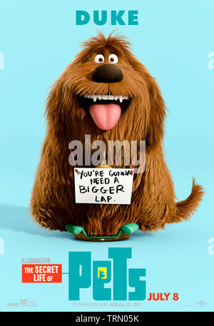 The Secret Life of Pets 2 (2019) regia di Chris Renaud e Jonathan del Val con duca cantata da Eric Stonestreet. Sequel animato su che cosa gli animali domestici ottengono fino mentre i loro proprietari sono fuori per il giorno. Foto Stock