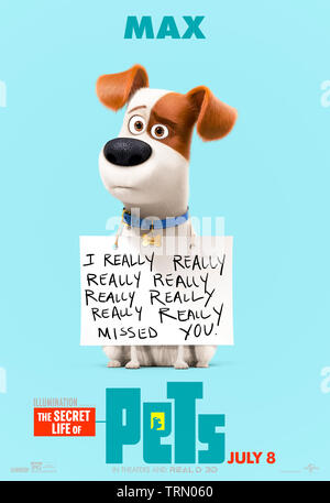 The Secret Life of Pets 2 (2019) regia di Chris Renaud e Max doppiato da Louis C. K. Sequel animato su che cosa gli animali domestici ottengono fino mentre i loro proprietari sono fuori per il giorno. Foto Stock