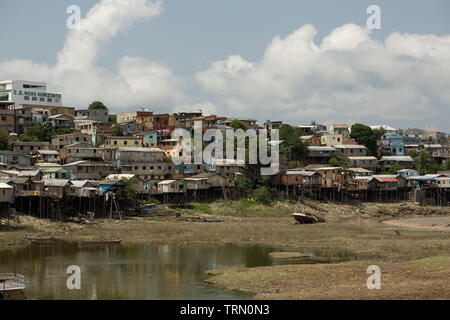 Igarapé, palafitte, Amazônia, Manaus, Amazonas, Brasile Foto Stock