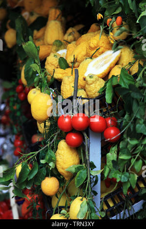 I limoni e i pomodori esposti per la vendita nel mercato Ballaro a Palermo e in Sicilia Foto Stock