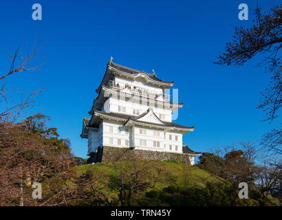 Asia, Giappone, Honshu, nella prefettura di Kanagawa, Odawara, Odawara castle Foto Stock