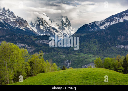 Paesaggi alpino svizzero dei terreni agricoli prati e una capanna di agricoltori edificio con montagne coperte di neve delle Alpi bernesi (Mittlehorn e Schreckhorn) Foto Stock