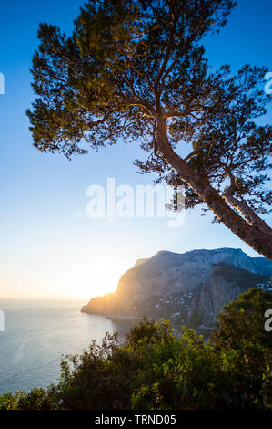 Luce dorata incandescente attraverso pino sagome come il sole tramonta dietro una pittoresca vista panoramica dell'iconico scogliere dell'isola di Capri Foto Stock