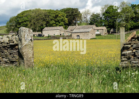 Hannah Prato della Riserva Naturale, Baldersdale, County Durham, Regno Unito Foto Stock