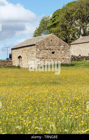 Hannah Prato della Riserva Naturale, Baldersdale, County Durham, Regno Unito Foto Stock