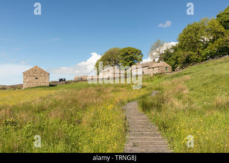 Hannah Prato della Riserva Naturale, Baldersdale, County Durham, Regno Unito Foto Stock