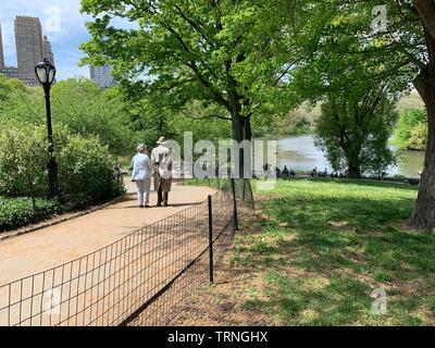 Central park park view in new york Foto Stock
