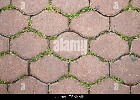 La texture del pavimento di piastrelle con piccola erba tra Foto Stock