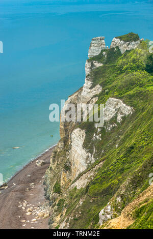 Testa di birra guardando verso Branscombe bocca,l'undercliff è un paradiso naturale all'interno di chalk cliffs.Devon, Regno Unito Foto Stock