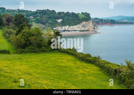 Paesaggi costieri a birra alla Jurassic Coast nel Devon. In Inghilterra. Regno Unito. Foto Stock