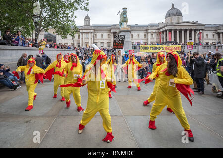 Pollo clorurati ballerini eseguono in Trafalgar Square come parte delle manifestazioni di protesta contro il presidente statunitense Donald Trump's UK visita di stato. Foto Stock