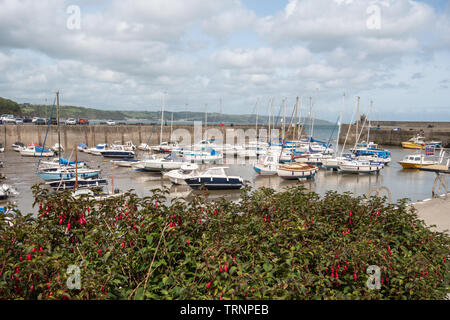 Barche ormeggiate nel porto a Saundersfoot, Pembrokeshire, Galles Foto Stock