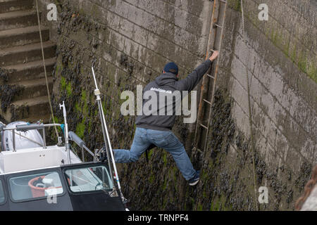 L'uomo provando a bordo di una barca da pesca nel porto, appeso su di una scala, Saundersfoot, Galles Foto Stock