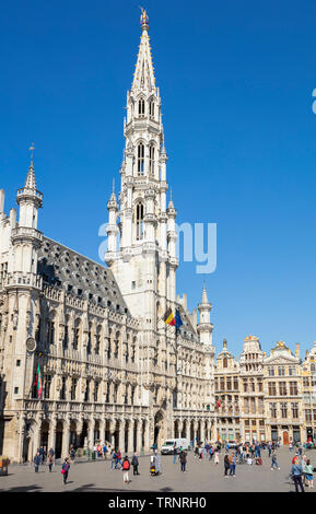 Bruxelles Municipio Bruxelles Hôtel de Ville de Bruxelles Bruxelles Grand Place Bruxelles Bruxelles Belgio UE Europa Foto Stock