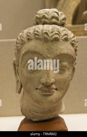 Testa di Buddha(Stucco). 3a-4a secolo. Taxila, Pakistan. Dipartimento di Archeologia e musei Foto Stock