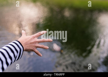 Donna di mano toccare l'acqua. Foto Stock
